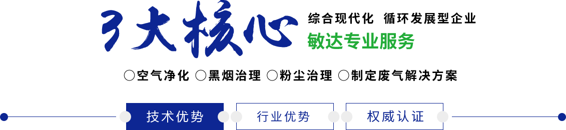 爱逼爱操敏达环保科技（嘉兴）有限公司
